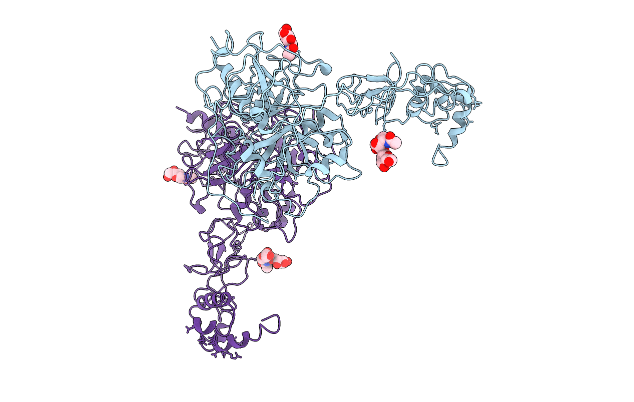 6C2W image