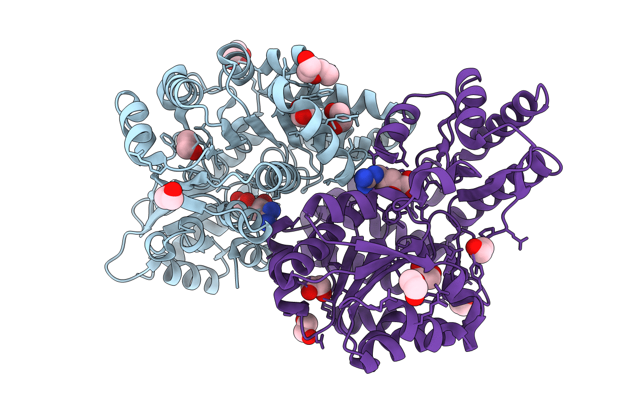 6C3A image