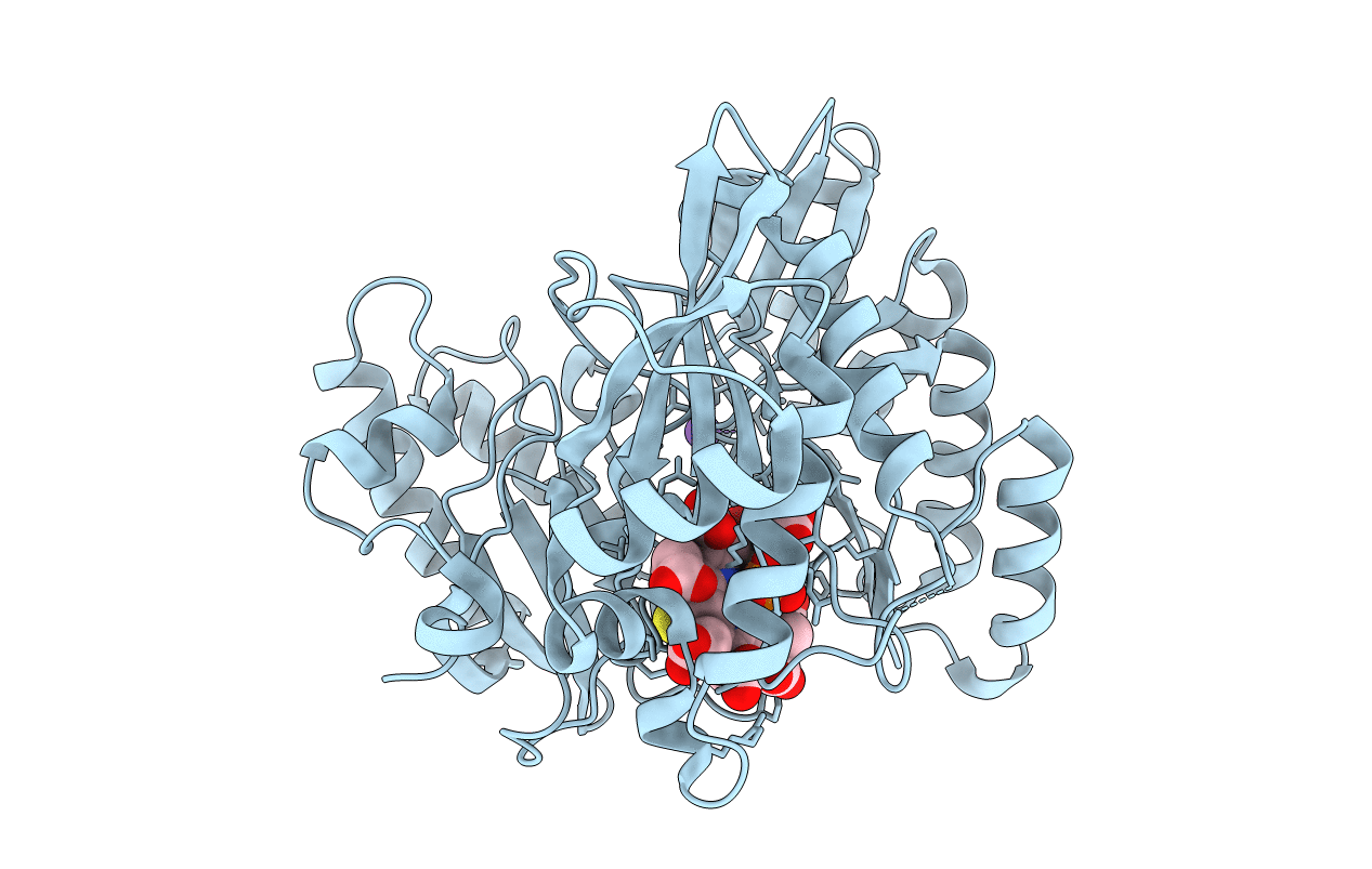 6C3M image