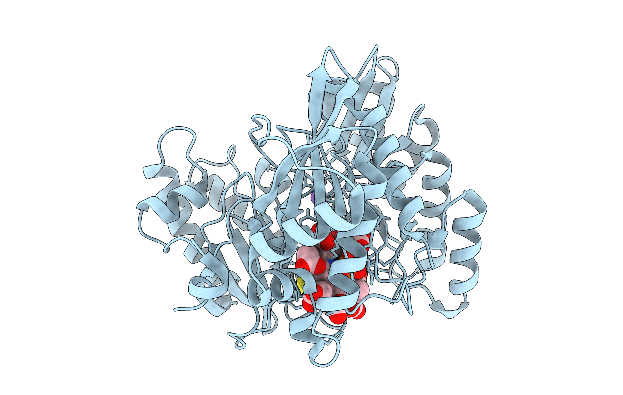 6C3X image
