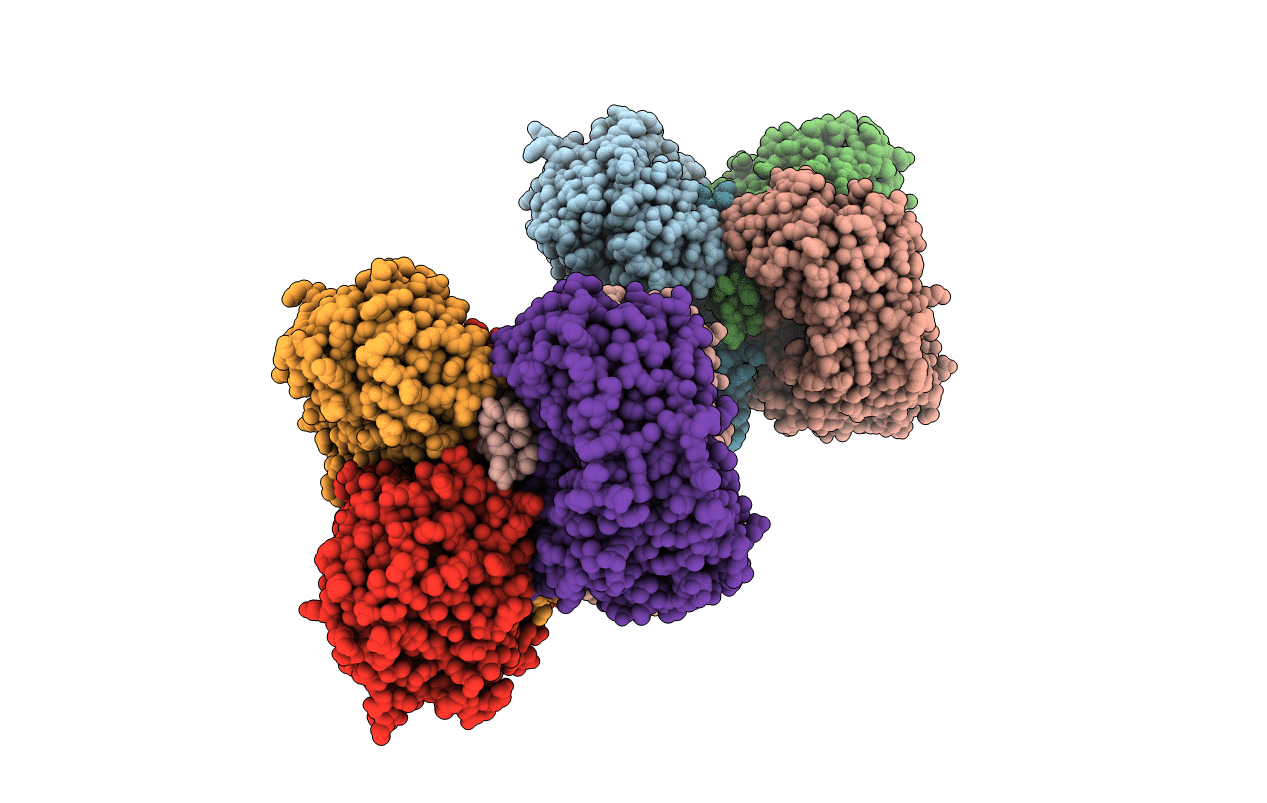 6C43 image