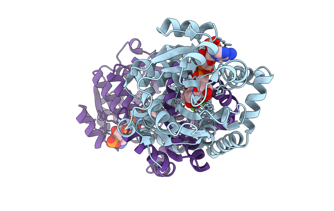 6C55 image