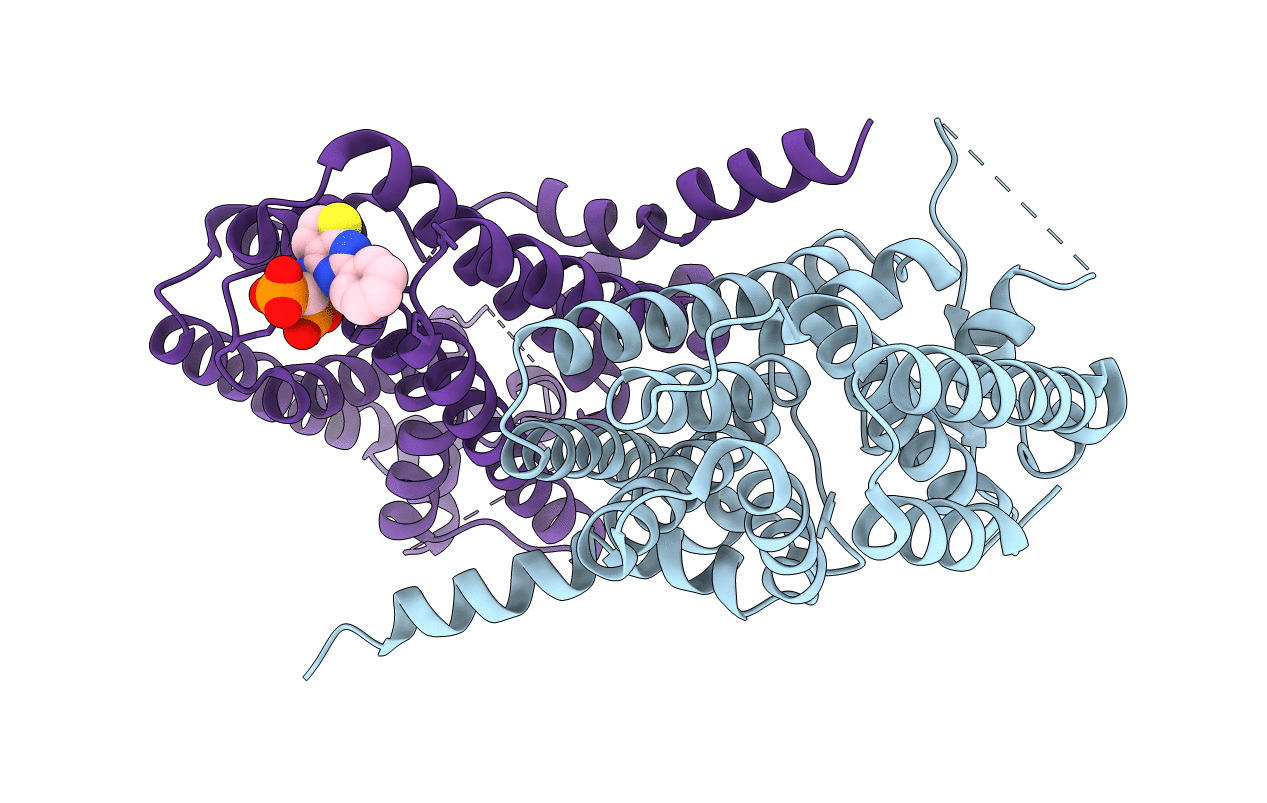 6C56 image