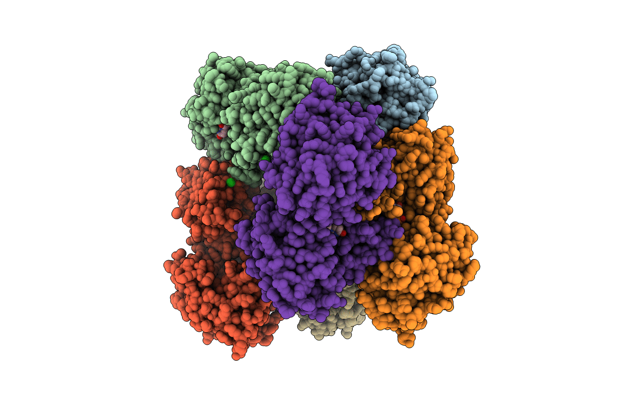 6C58 image