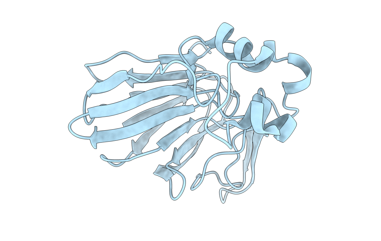 6C5Y image
