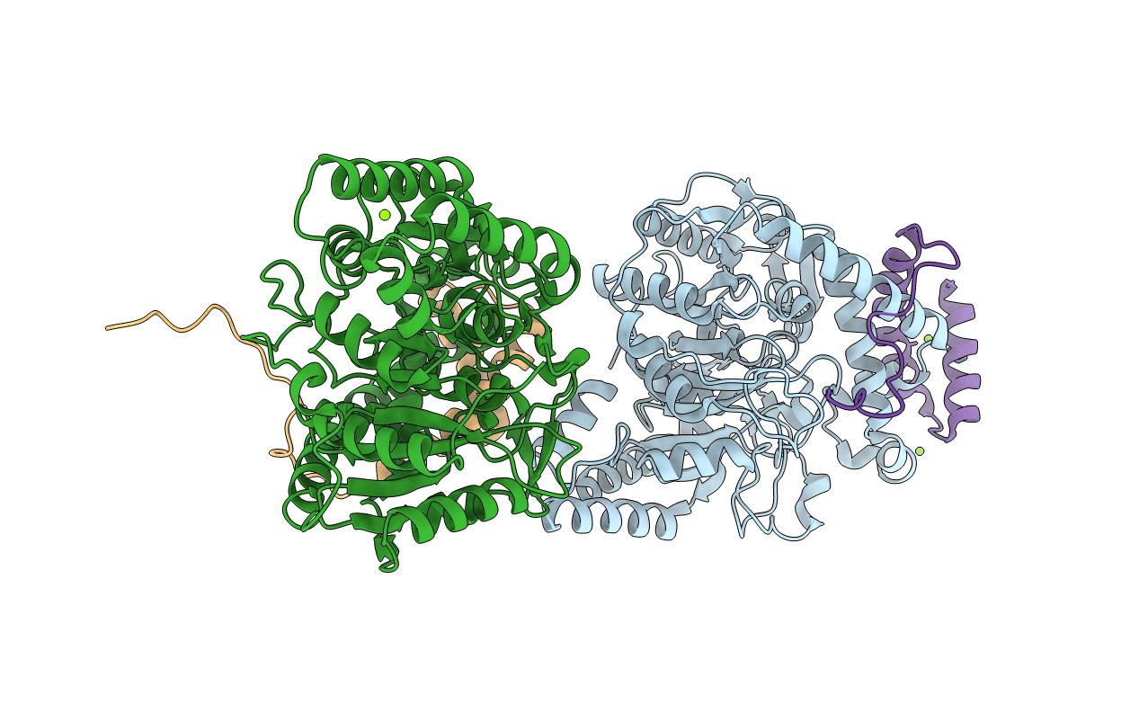 6C62 image