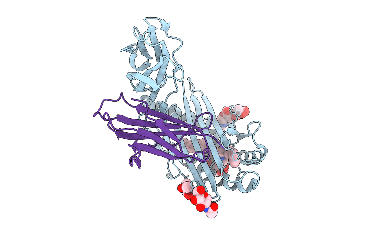 6C6A image