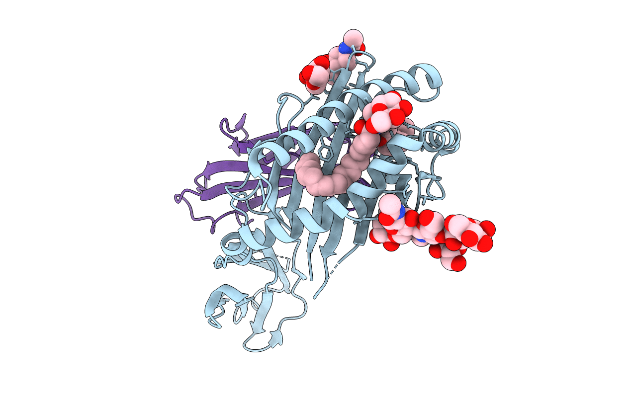 6C6C image