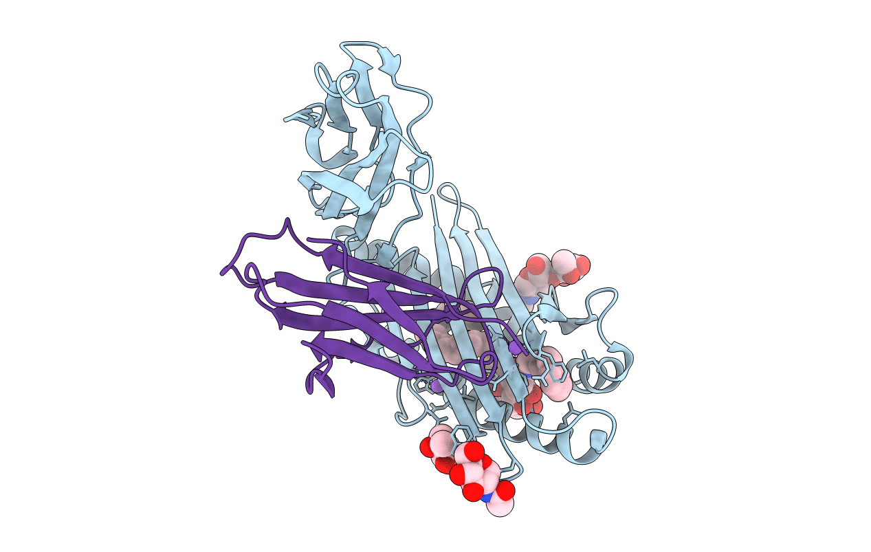 6C6E image