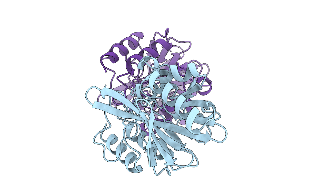 6C6I image