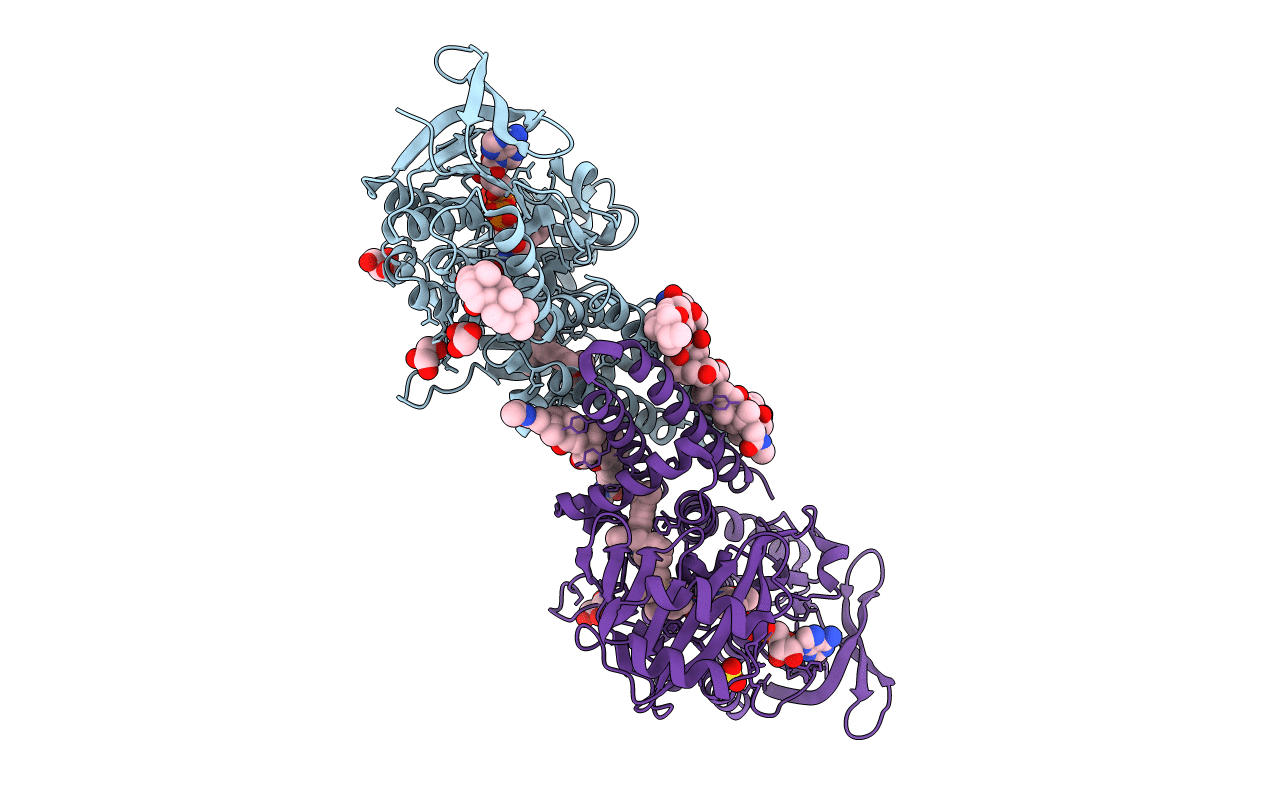 6C6N image