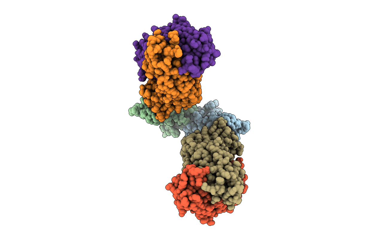 6C6Z image