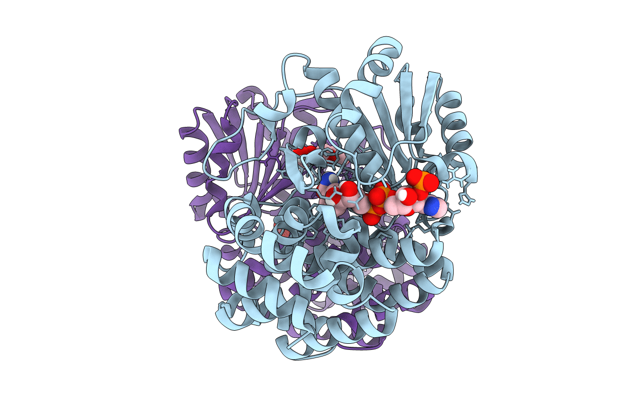 6C76 image