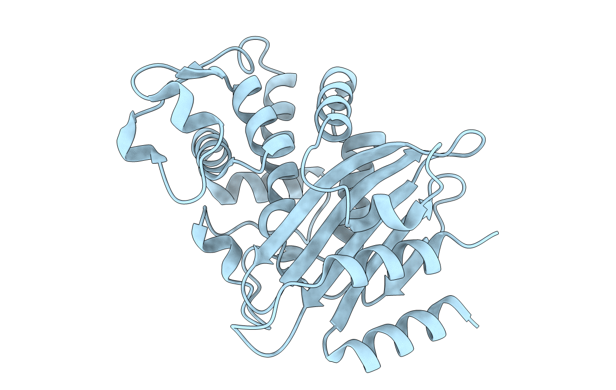 6C78 image
