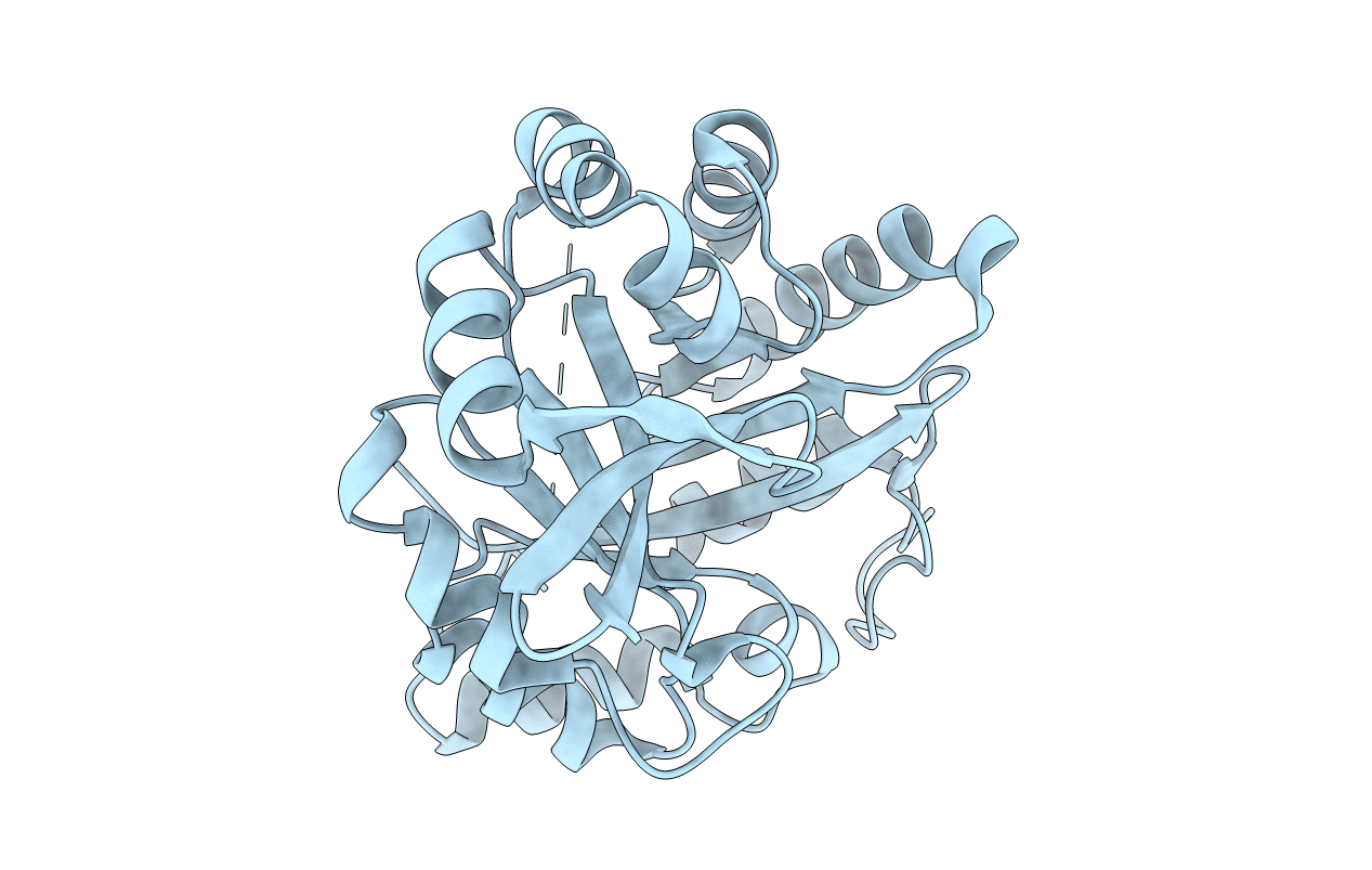 6C7T image