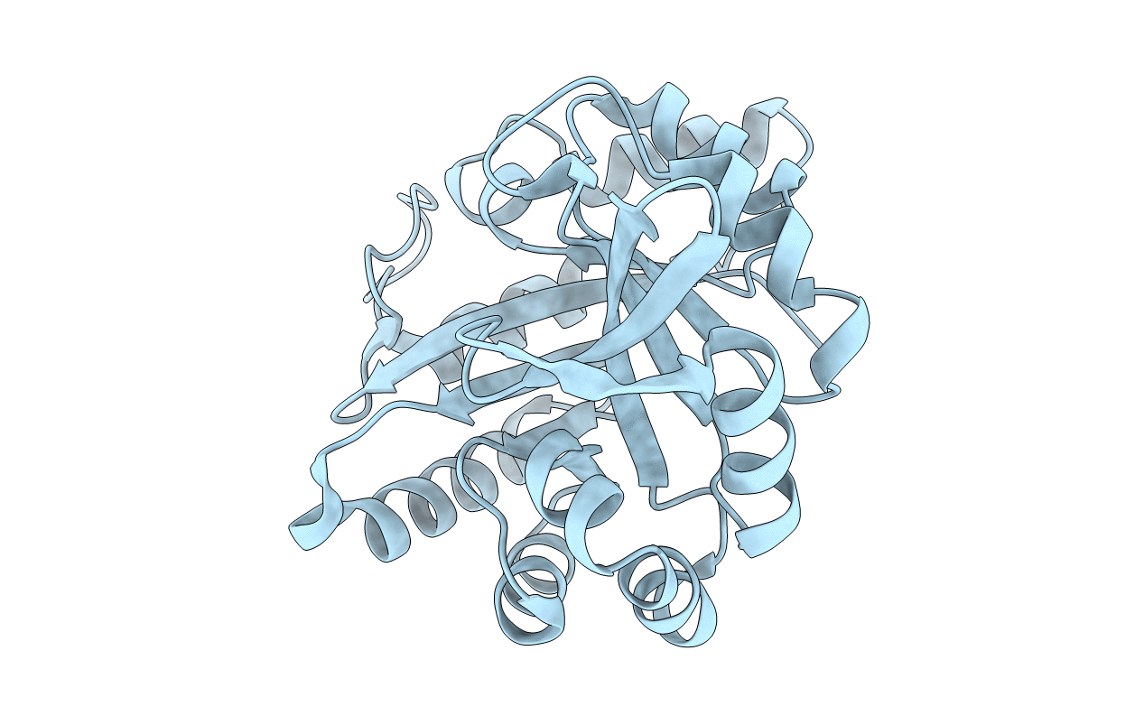6C7V image