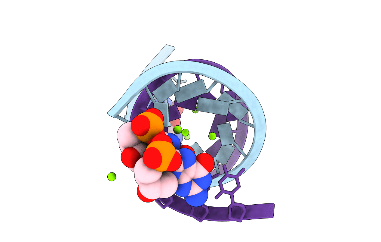 6C8D image