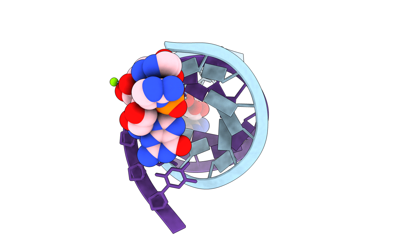 6C8I image