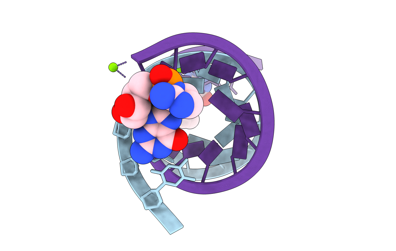 6C8O image