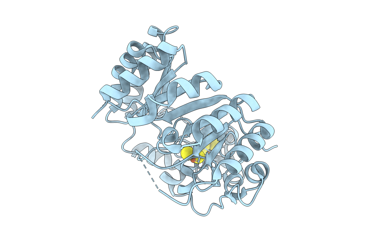6C8V image