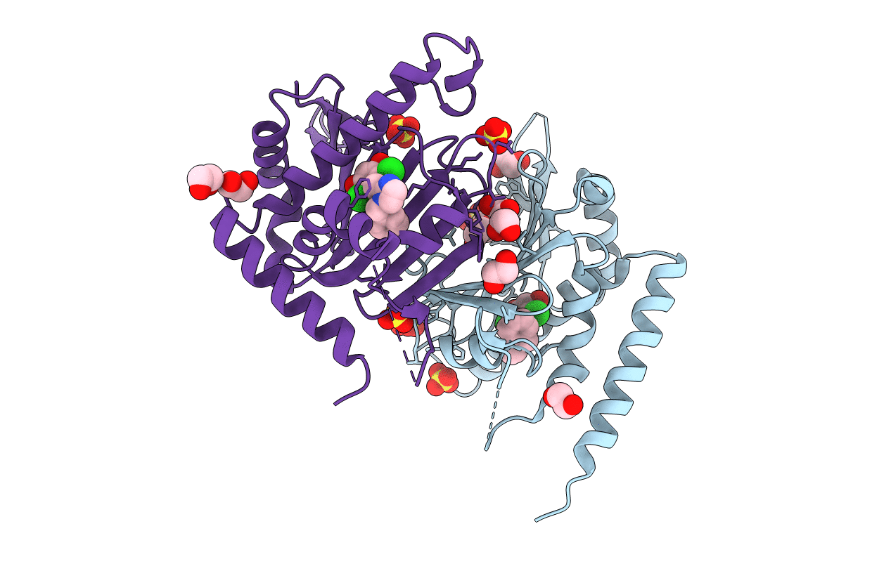 6C91 image