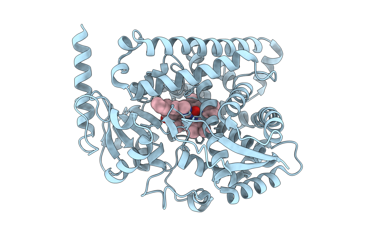 6C94 image