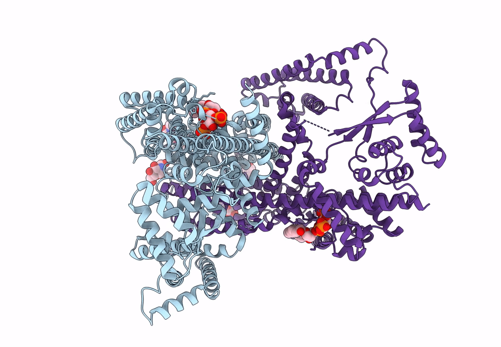 6C9A image