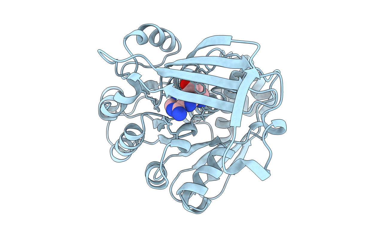 6C9Q image