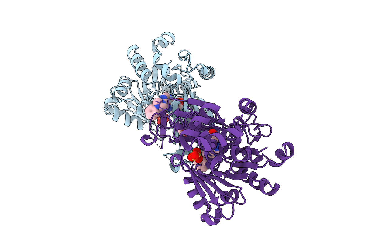 6C9V image