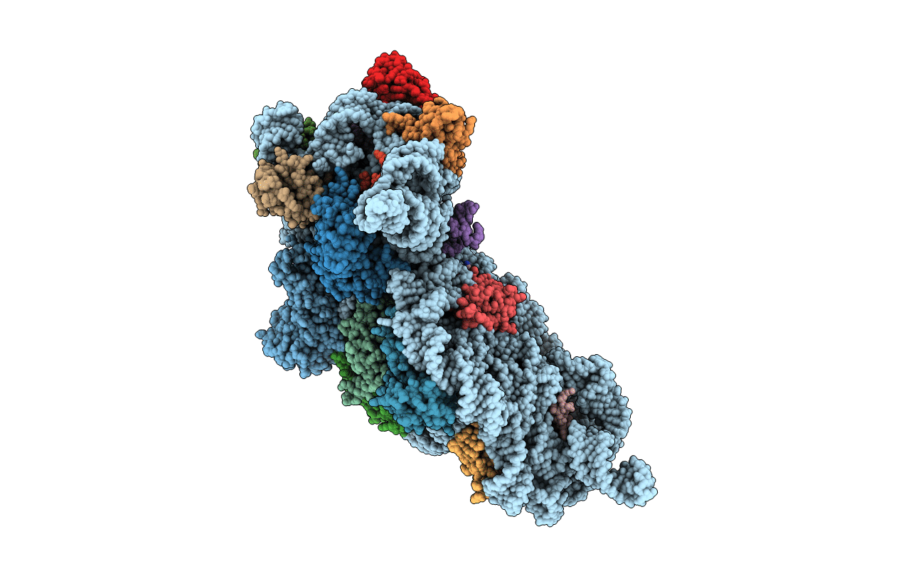 6CAS image