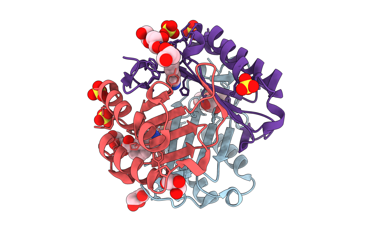 6CBG image
