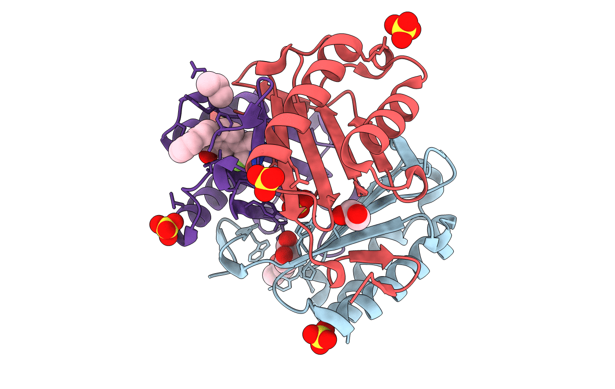 6CBH image
