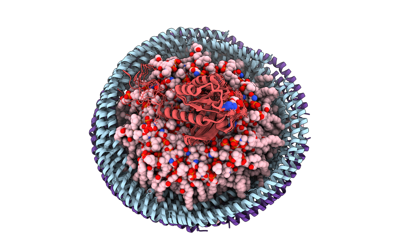 6CCX image