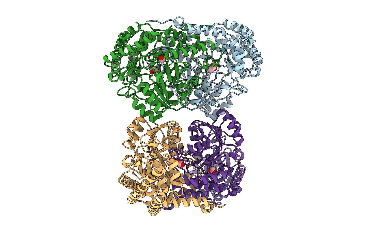 6CD0 image