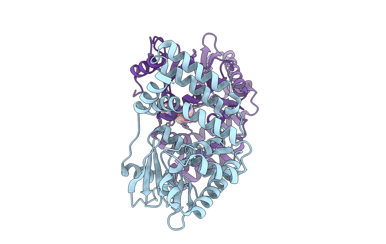 6CD7 image