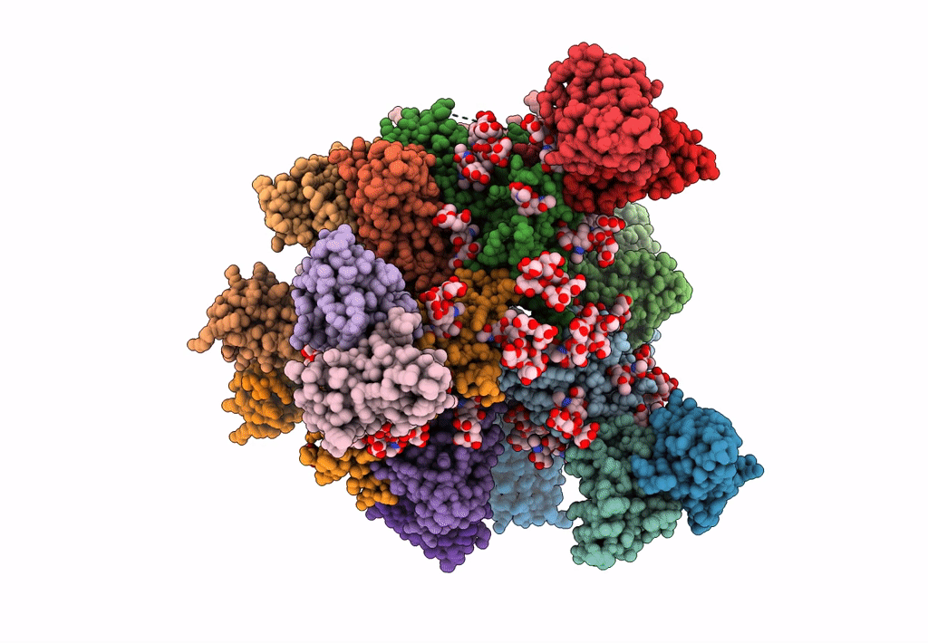 6CDI image