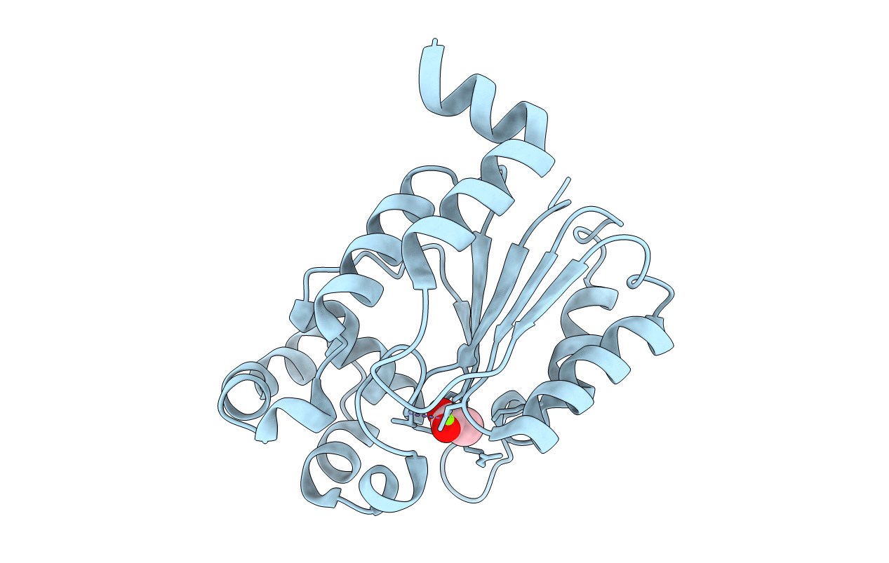 6CDW image