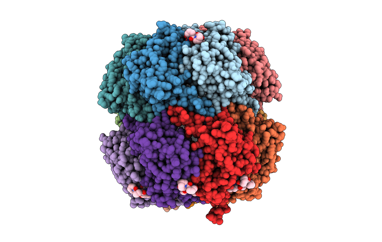 6CFD image
