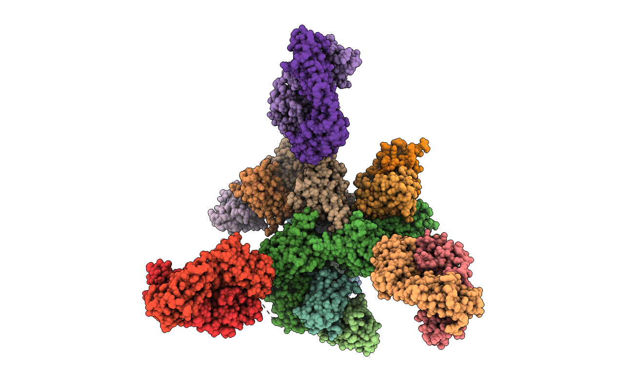 6CHB image