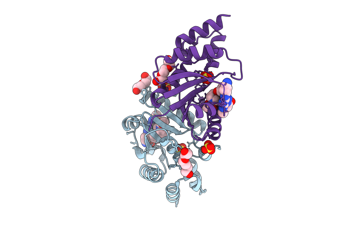 6CHN image
