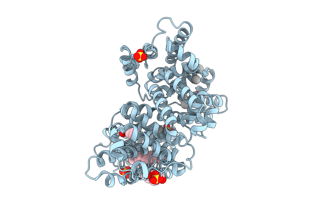 6CI6 image