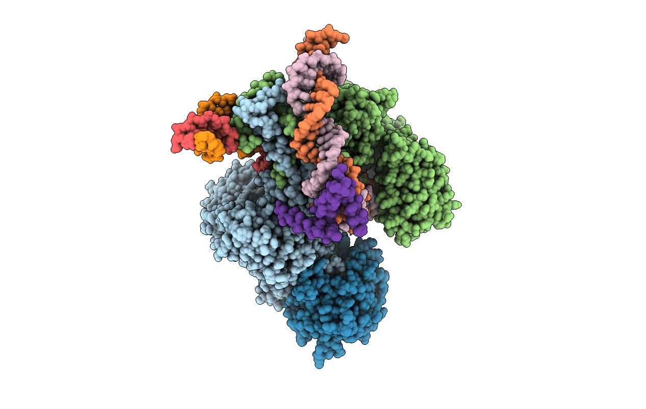 6CIL image