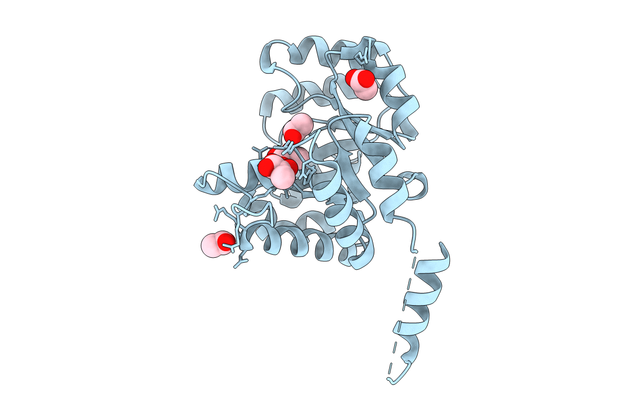 6CJ3 image