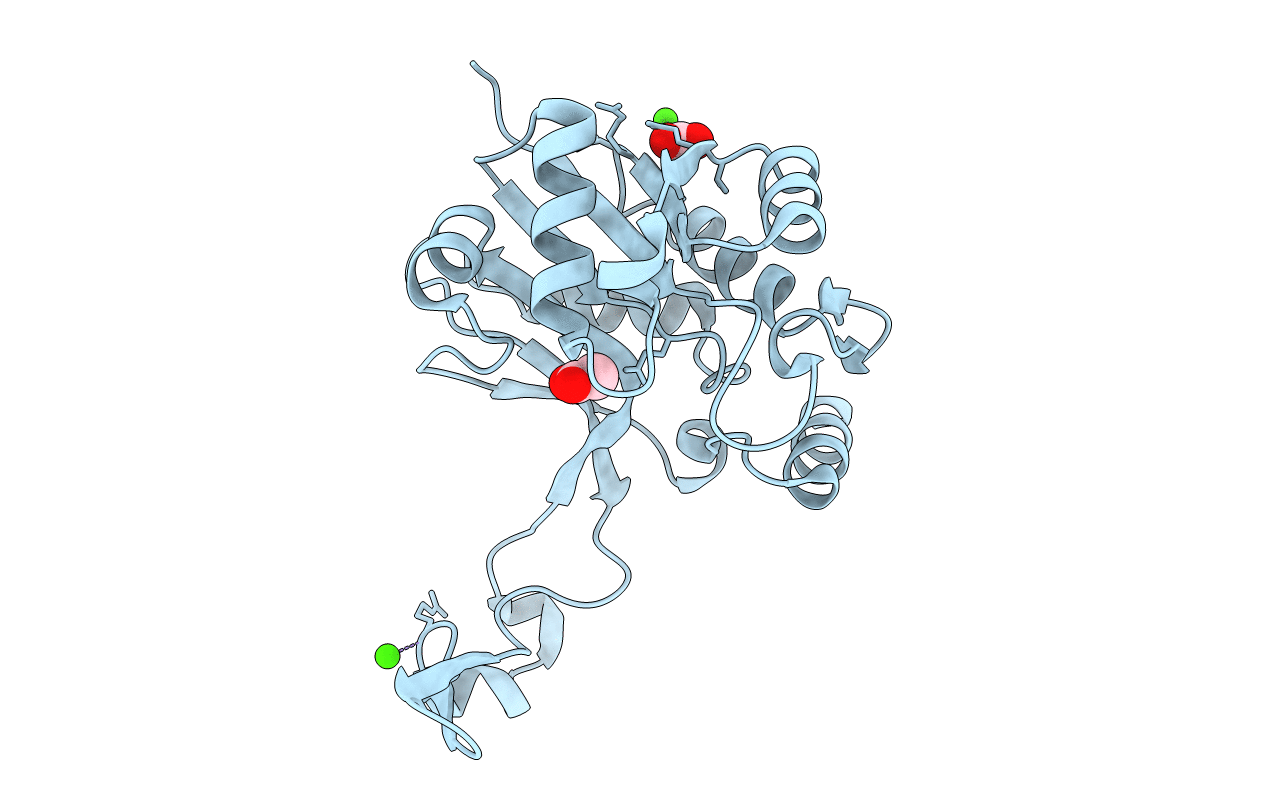6CKJ image