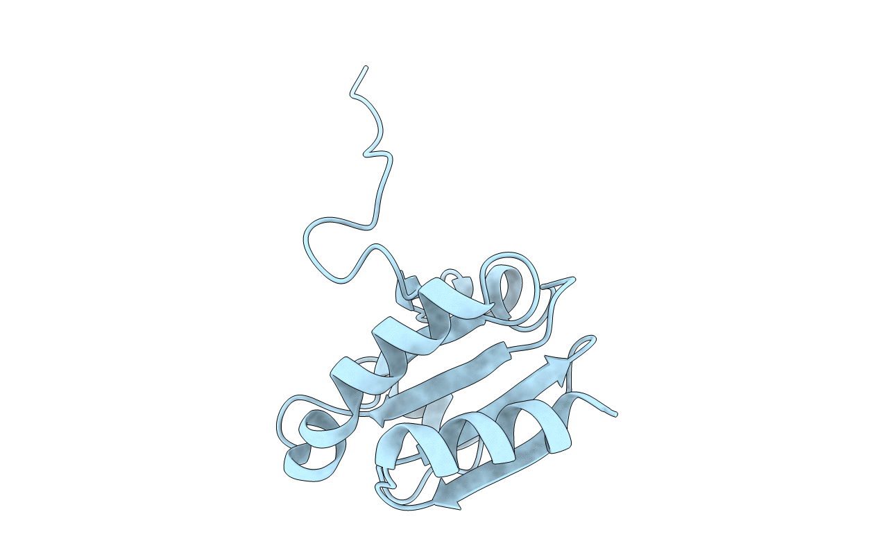 6CKP image