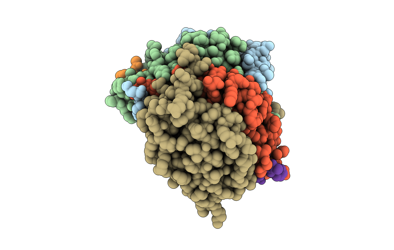 6CL2 image
