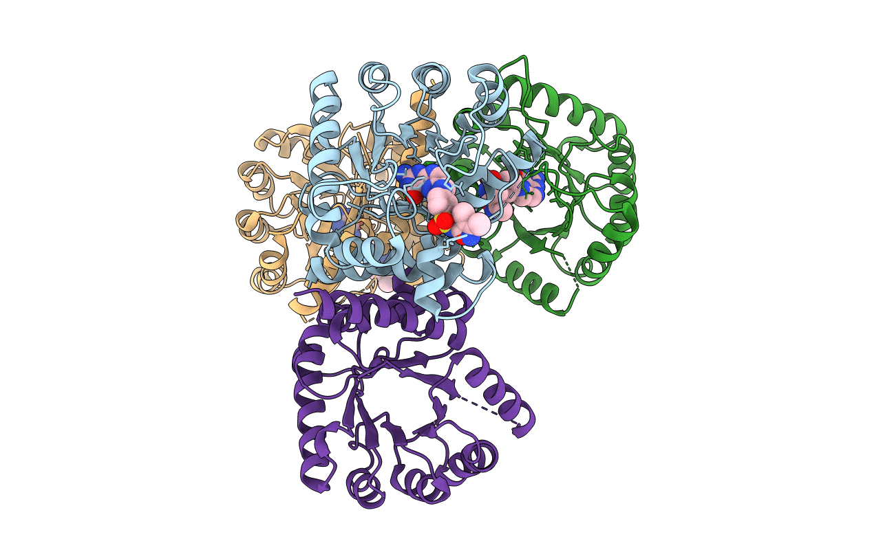 6CLV image
