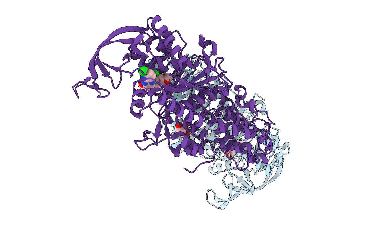 6CML image
