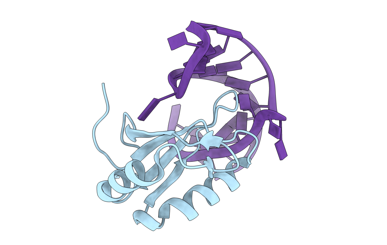6CMN image