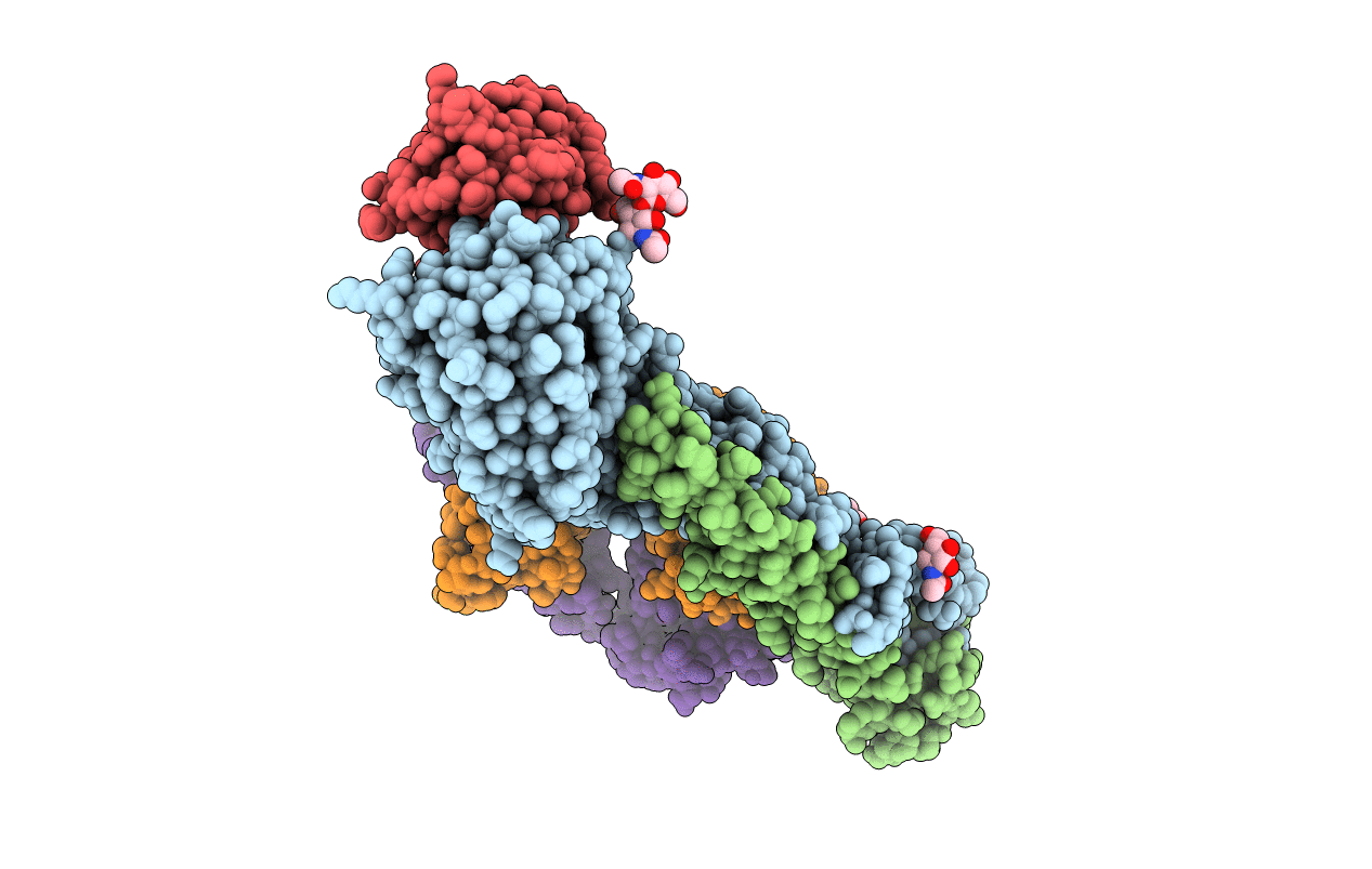 6CNV image